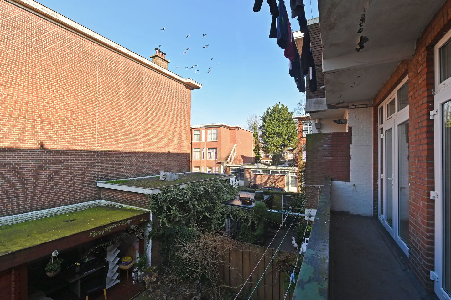 Foto 34 van Velpsestraat 107