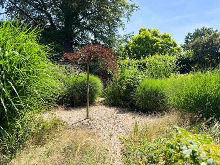 Photo 40 of Wildertsedijk 49