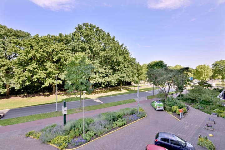 Photo 18 of Laan van Borgele 40-F214