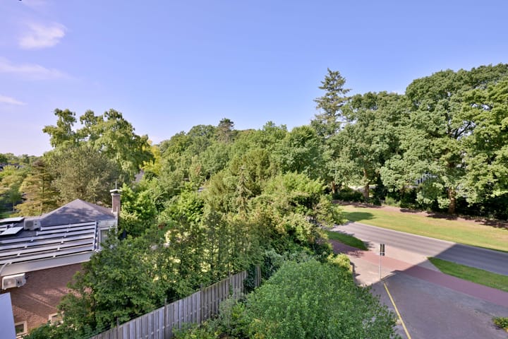 Photo 19 of Laan van Borgele 40-F214