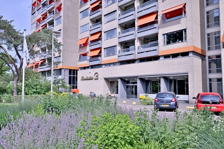 Photo 35 of Laan van Borgele 40-F214