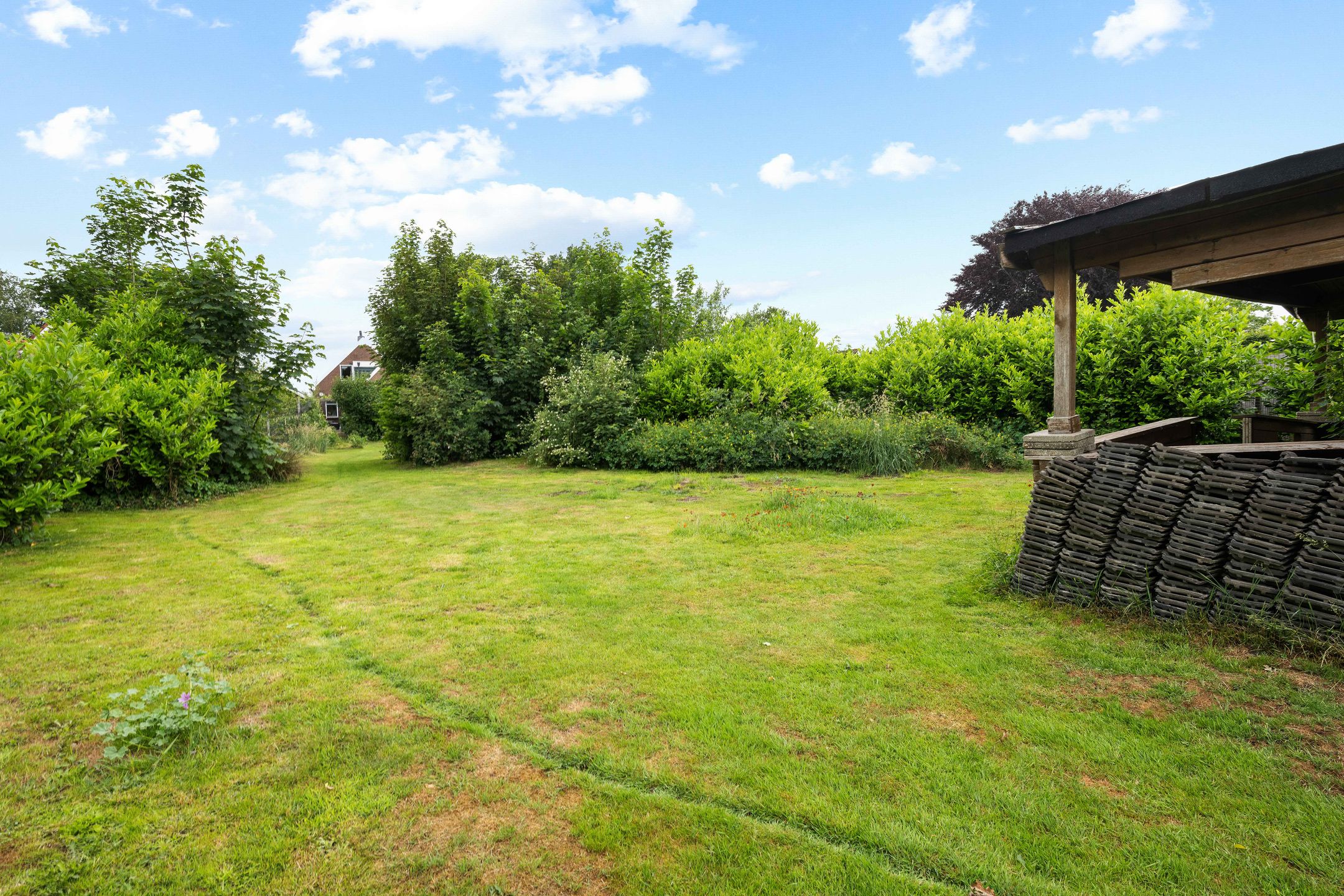 Foto 3 van Tramwijk ZZ 55