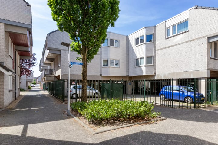 Foto 5 van Stoelendans 31