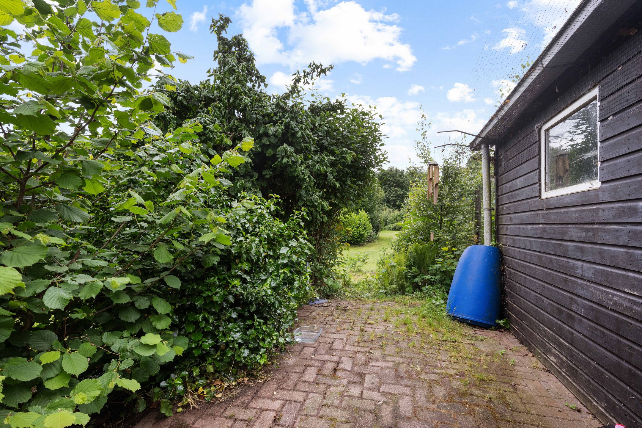 Foto 33 van Tramwijk ZZ 55