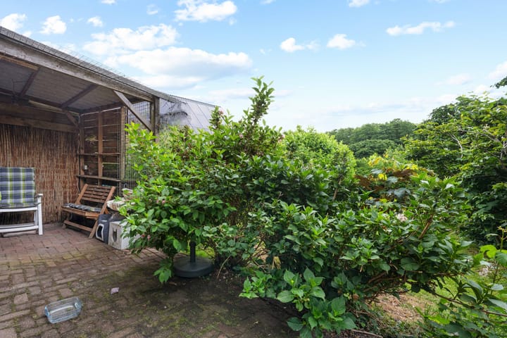 Foto 40 van Tramwijk ZZ 55