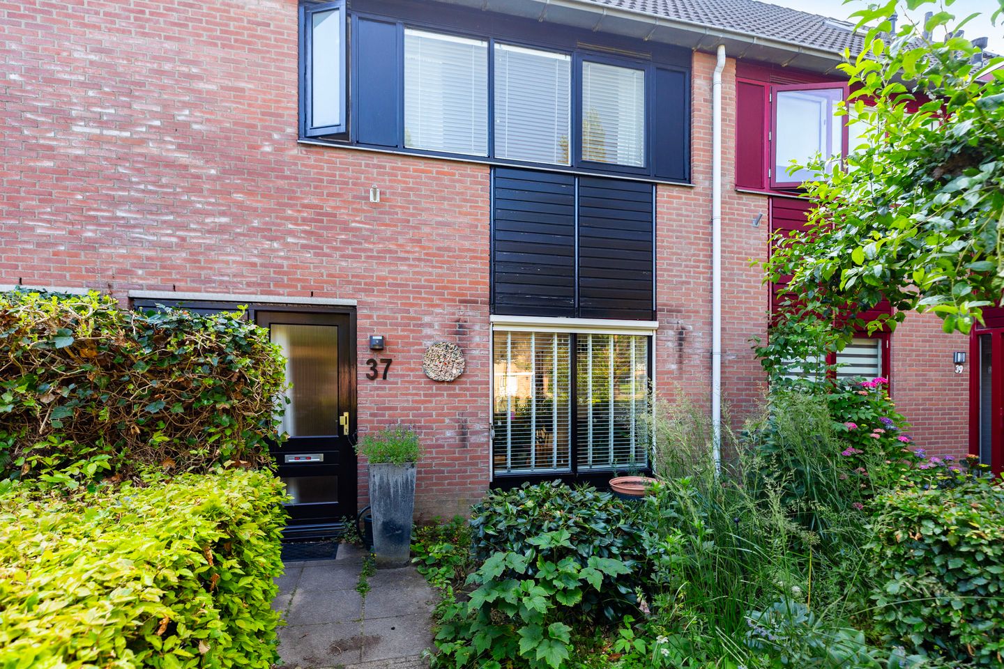 Foto 5 van Griend 37