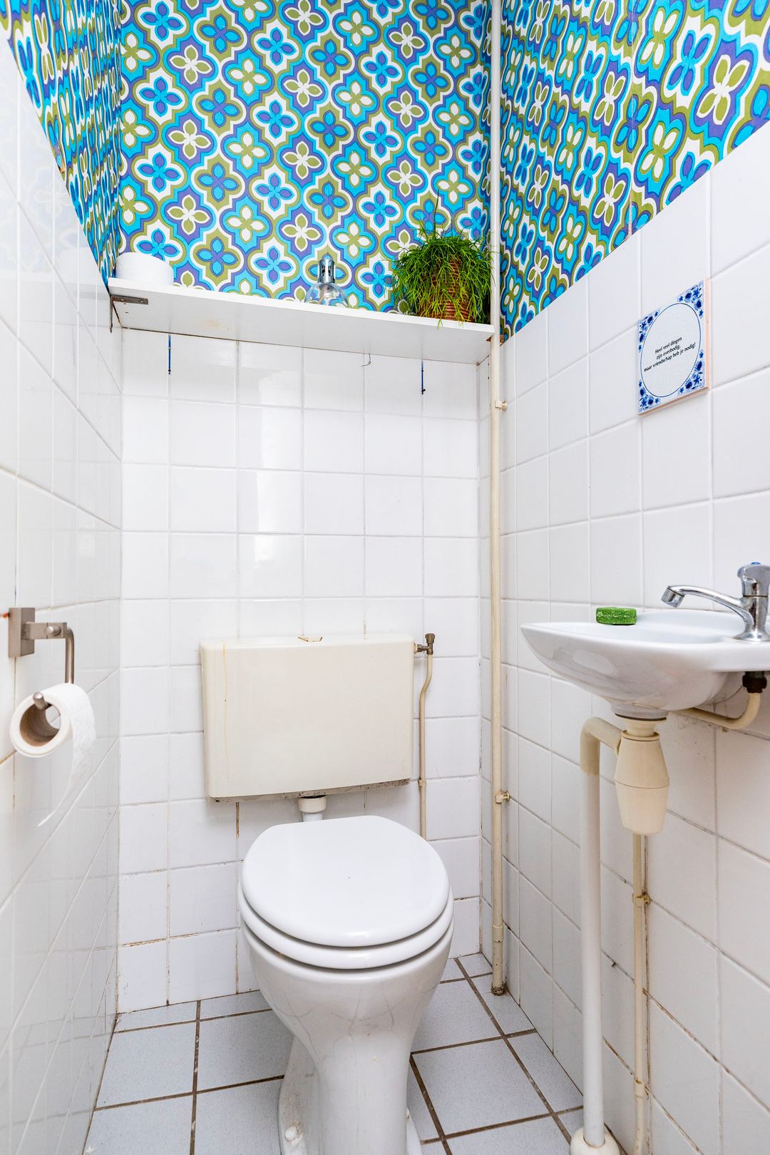 Foto 7 van Griend 37