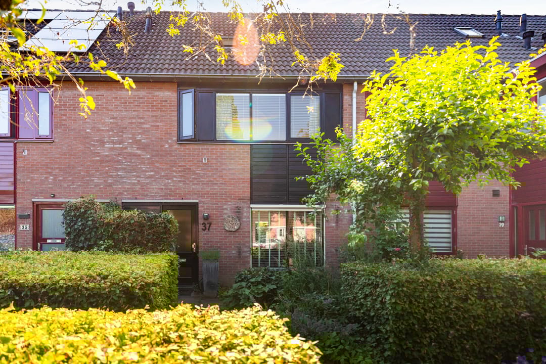 Foto 32 van Griend 37