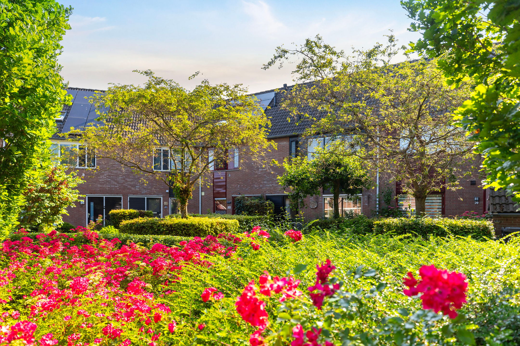 Foto 33 van Griend 37