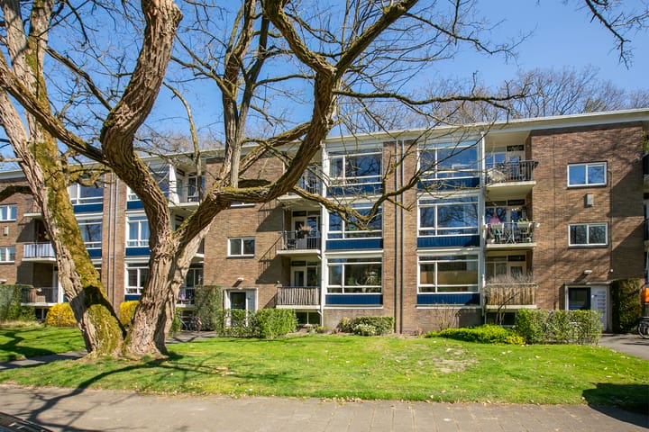 Foto 2 van Waltersingel 28-B