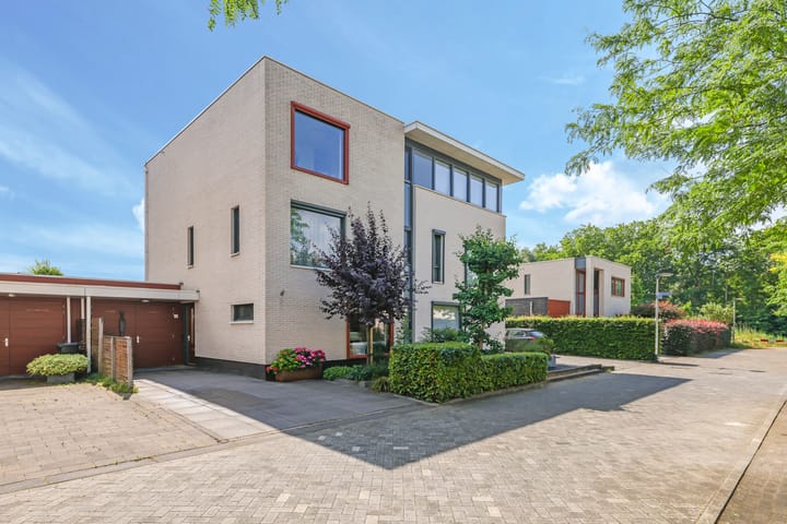 Foto 1 van Snoekbaars 6