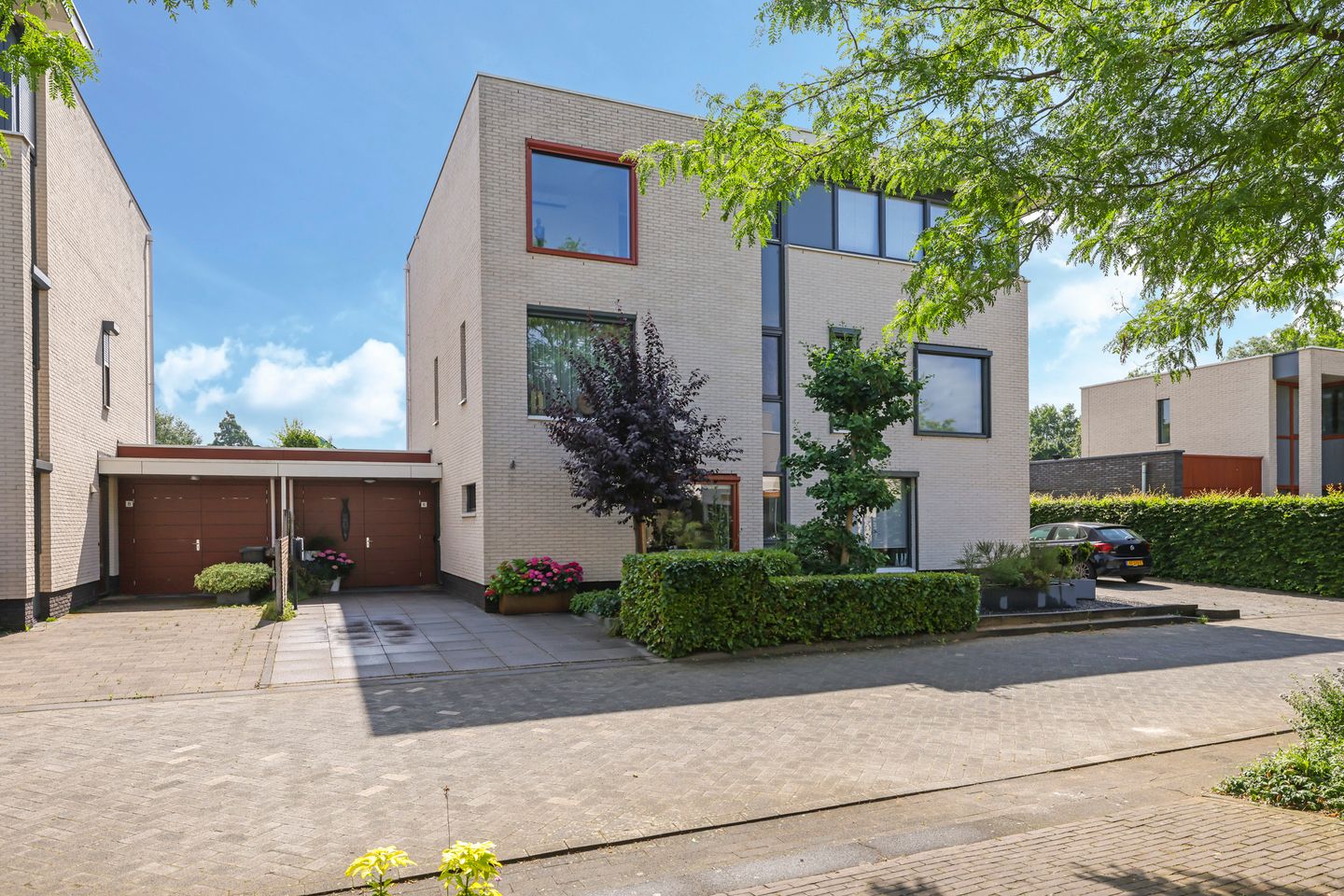 Foto 4 van Snoekbaars 6