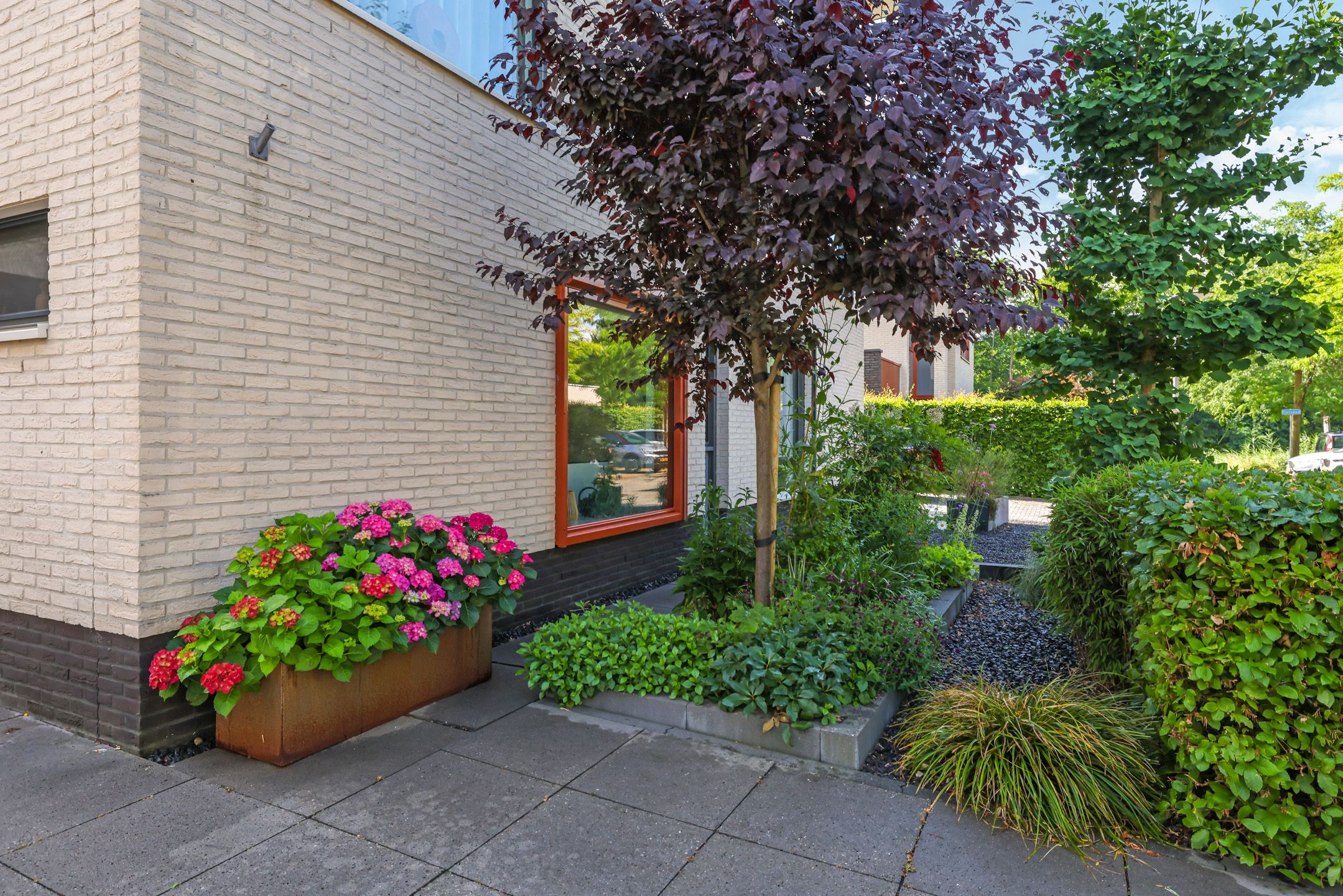 Foto 6 van Snoekbaars 6