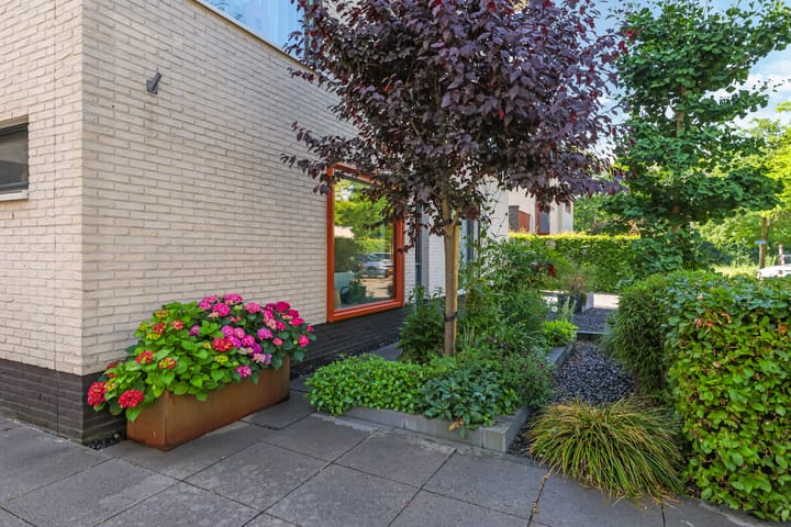 Foto 6 van Snoekbaars 6