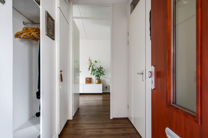 Foto 9 van Snoekbaars 6