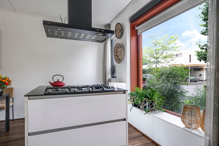 Foto 28 van Snoekbaars 6