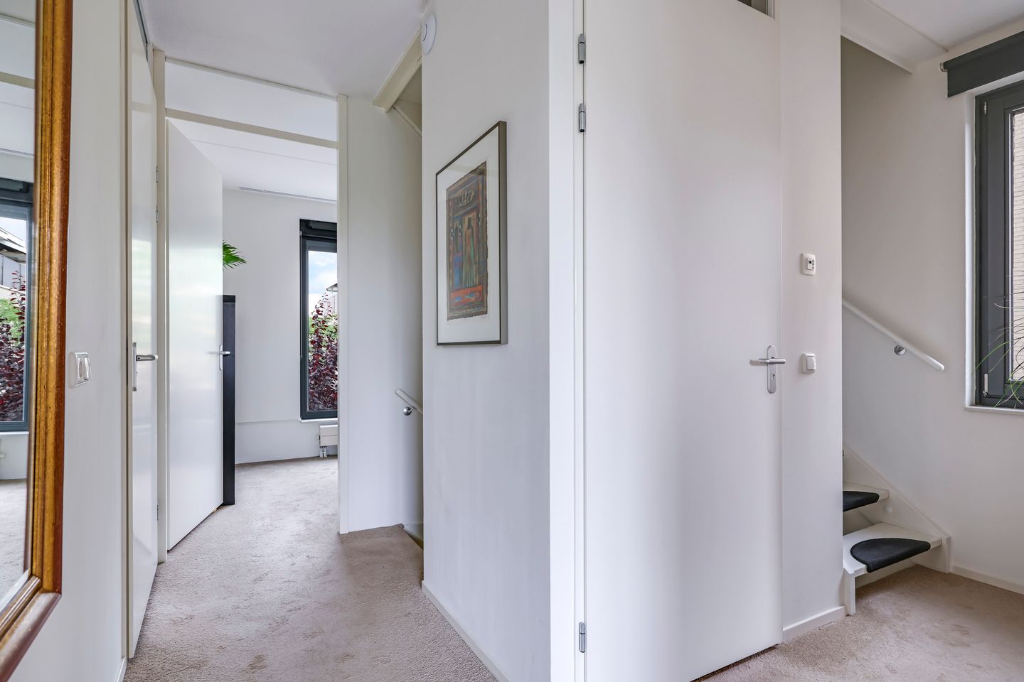 Foto 29 van Snoekbaars 6