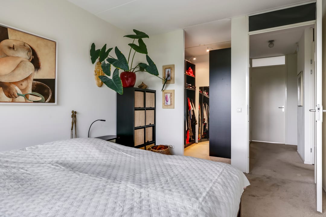 Foto 31 van Snoekbaars 6