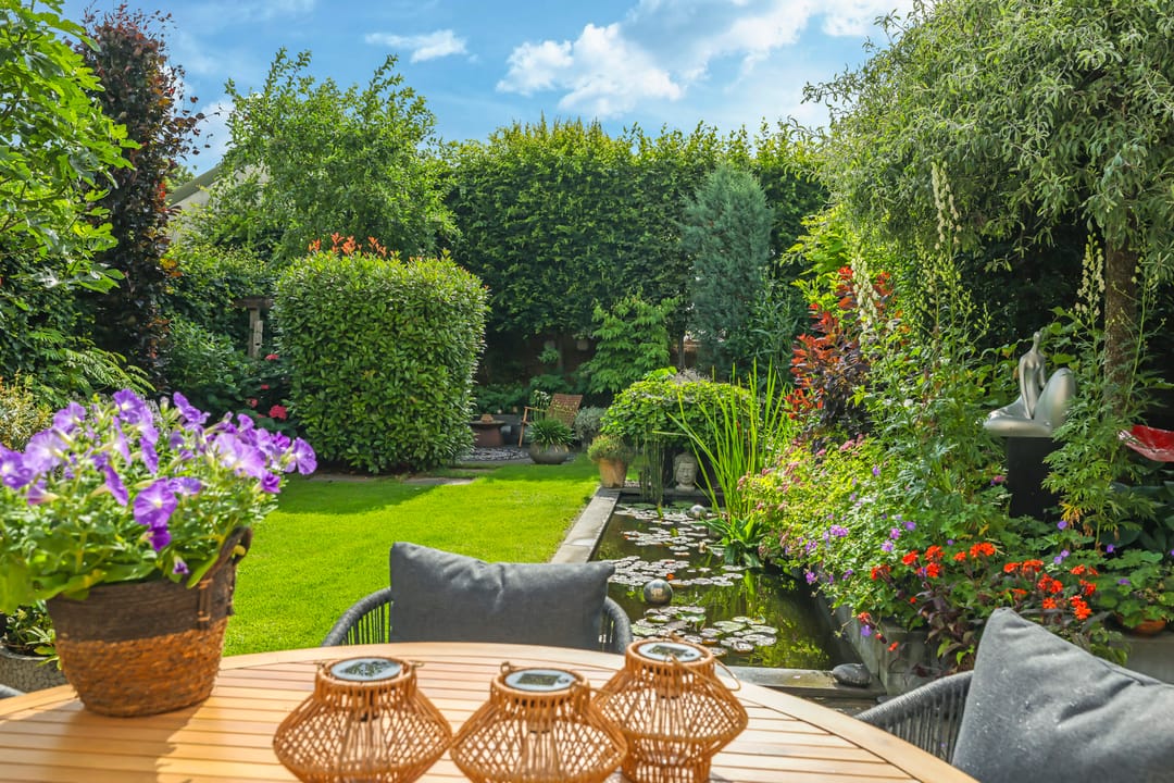 Foto 52 van Snoekbaars 6