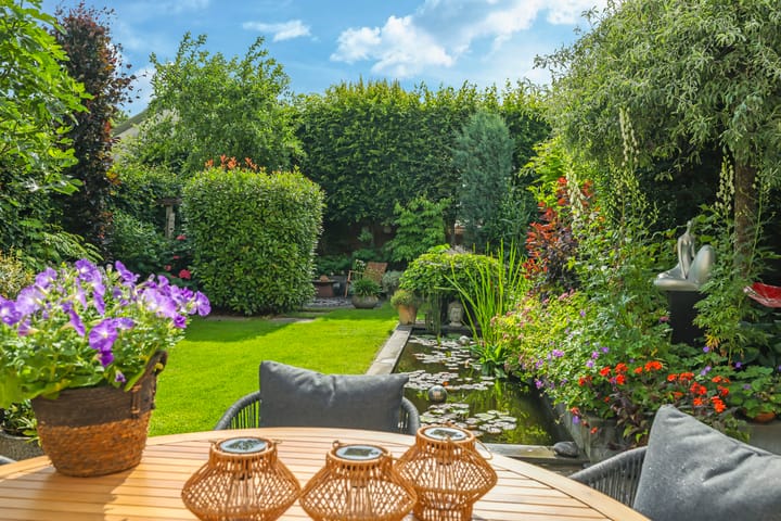 Foto 52 van Snoekbaars 6