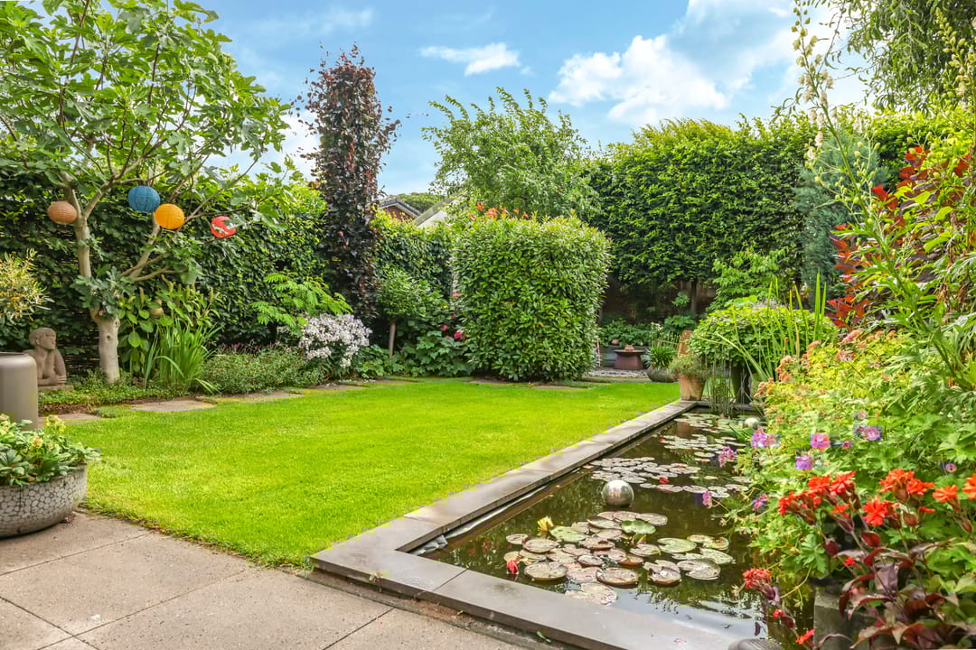 Foto 53 van Snoekbaars 6