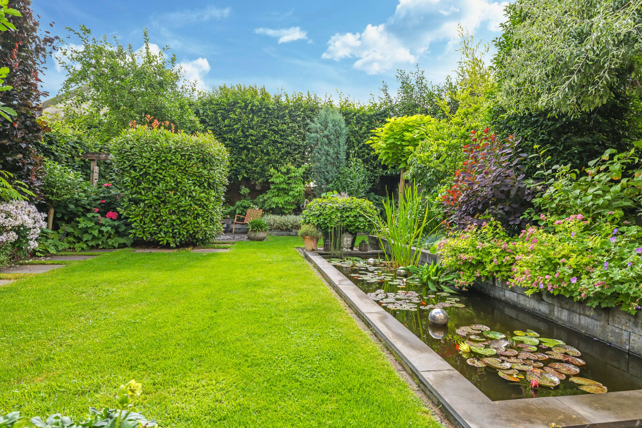 Foto 54 van Snoekbaars 6