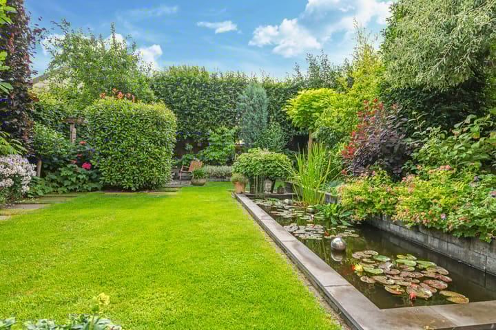 Foto 54 van Snoekbaars 6