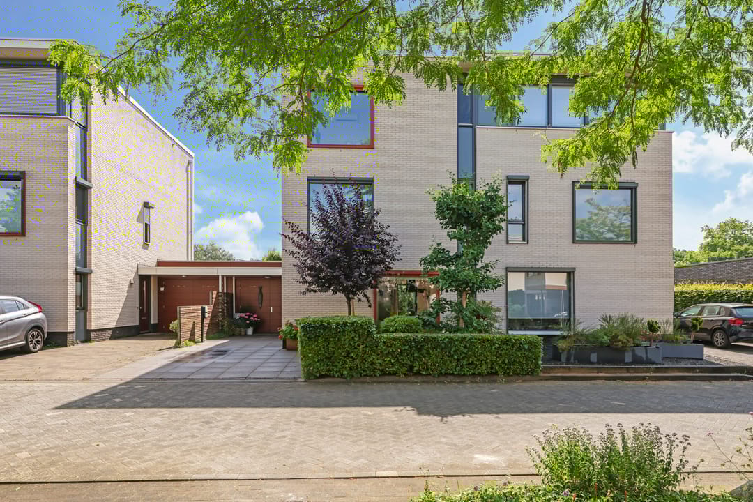 Foto 61 van Snoekbaars 6