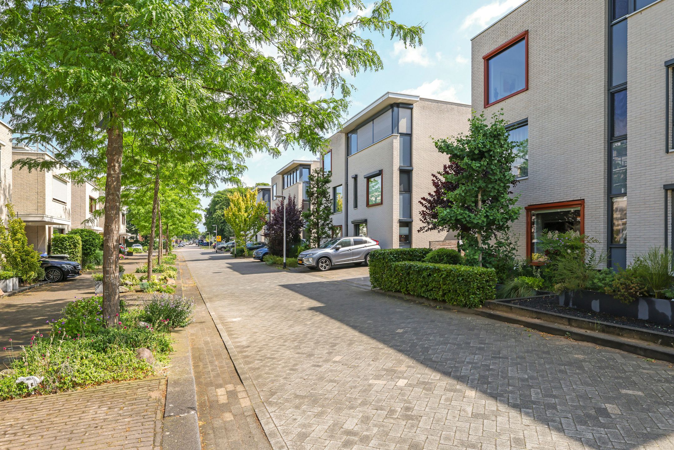 Foto 66 van Snoekbaars 6