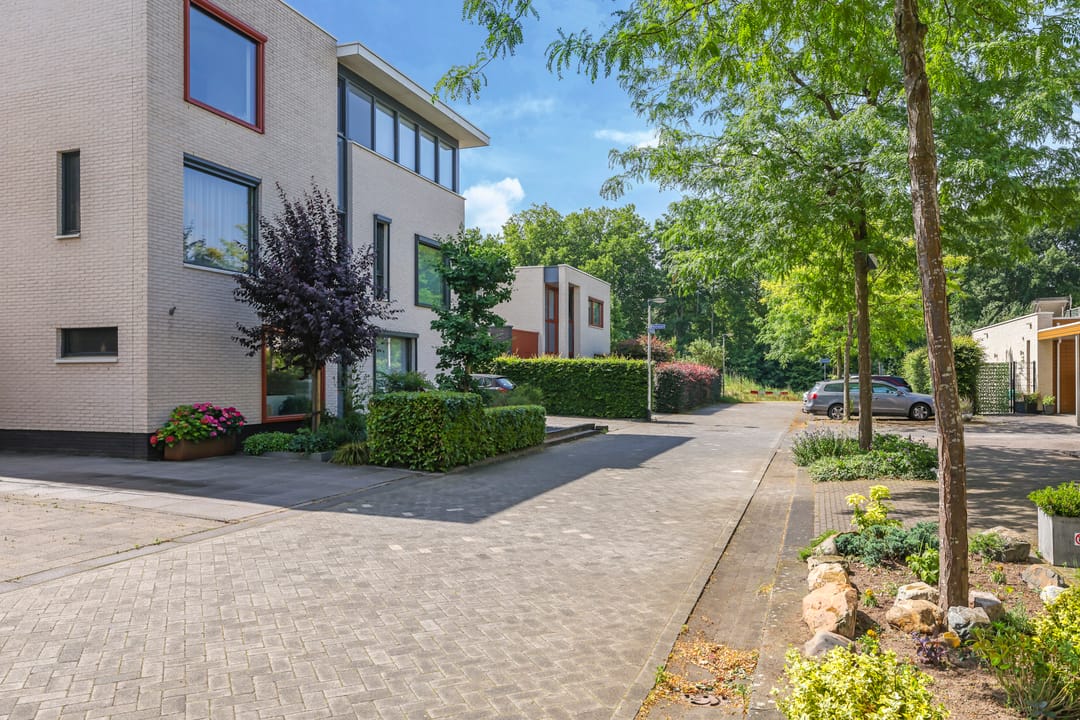 Foto 67 van Snoekbaars 6