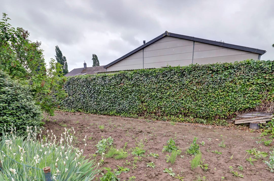 Foto 32 van Dwarsstraat 2-A