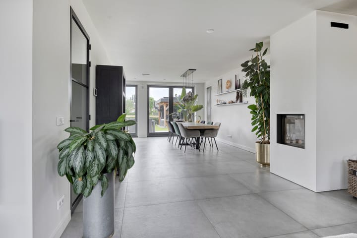 Foto 10 van Populier 11