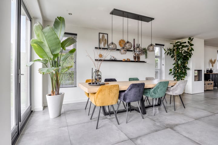 Foto 12 van Populier 11