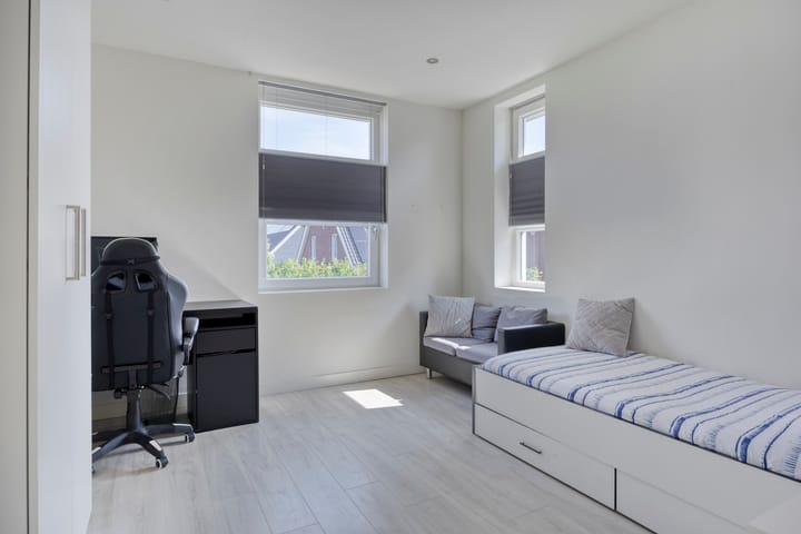 Foto 23 van Populier 11