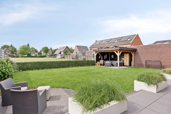 Foto 33 van Populier 11