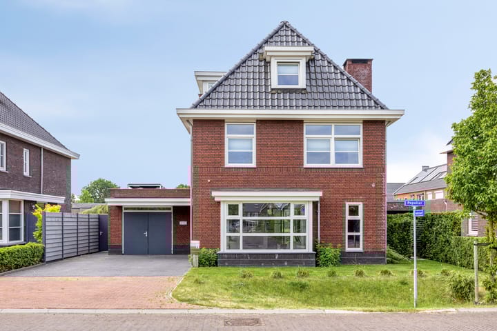 Foto 37 van Populier 11