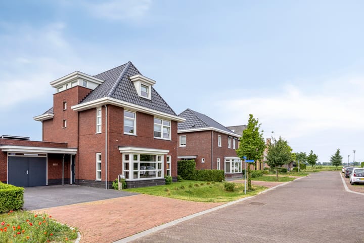 Foto 38 van Populier 11