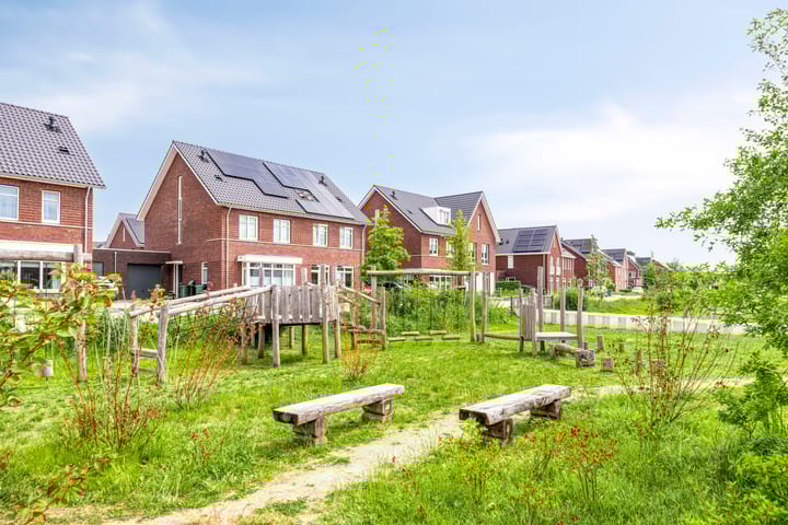 Foto 39 van Populier 11