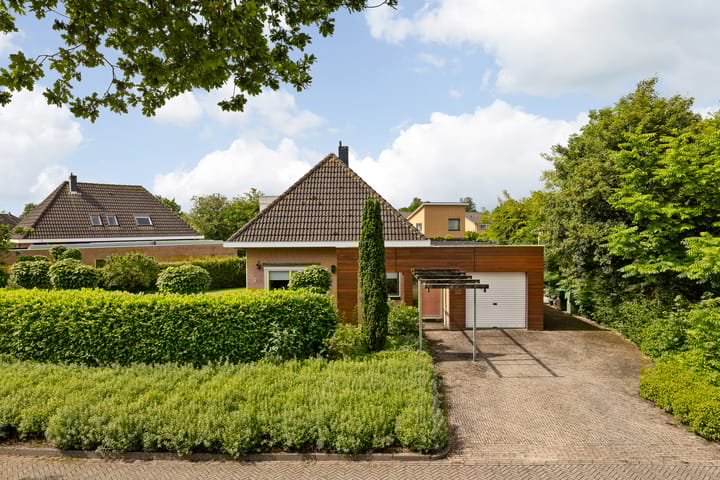 Photo 3 of Fonteinkruid 6