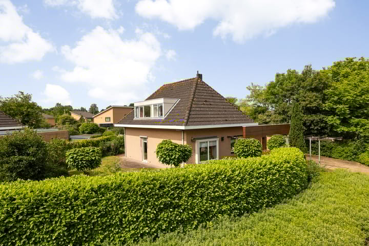 Photo 5 of Fonteinkruid 6