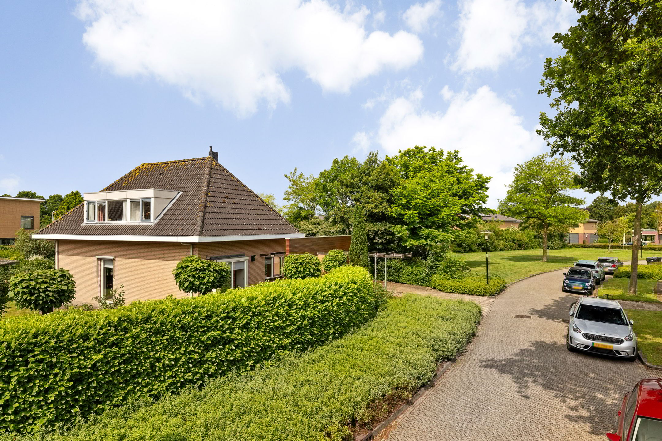 Foto 6 van Fonteinkruid 6