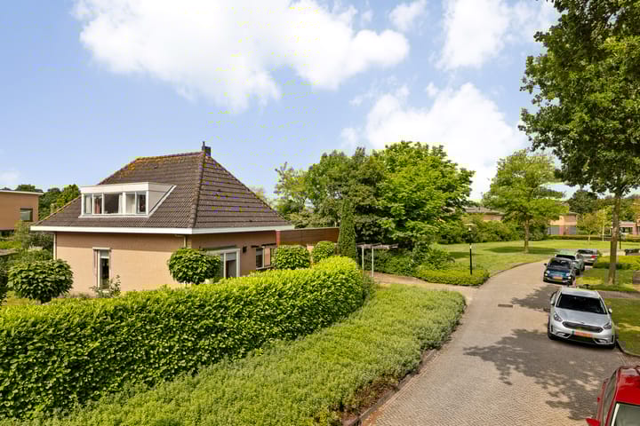 Photo 6 of Fonteinkruid 6