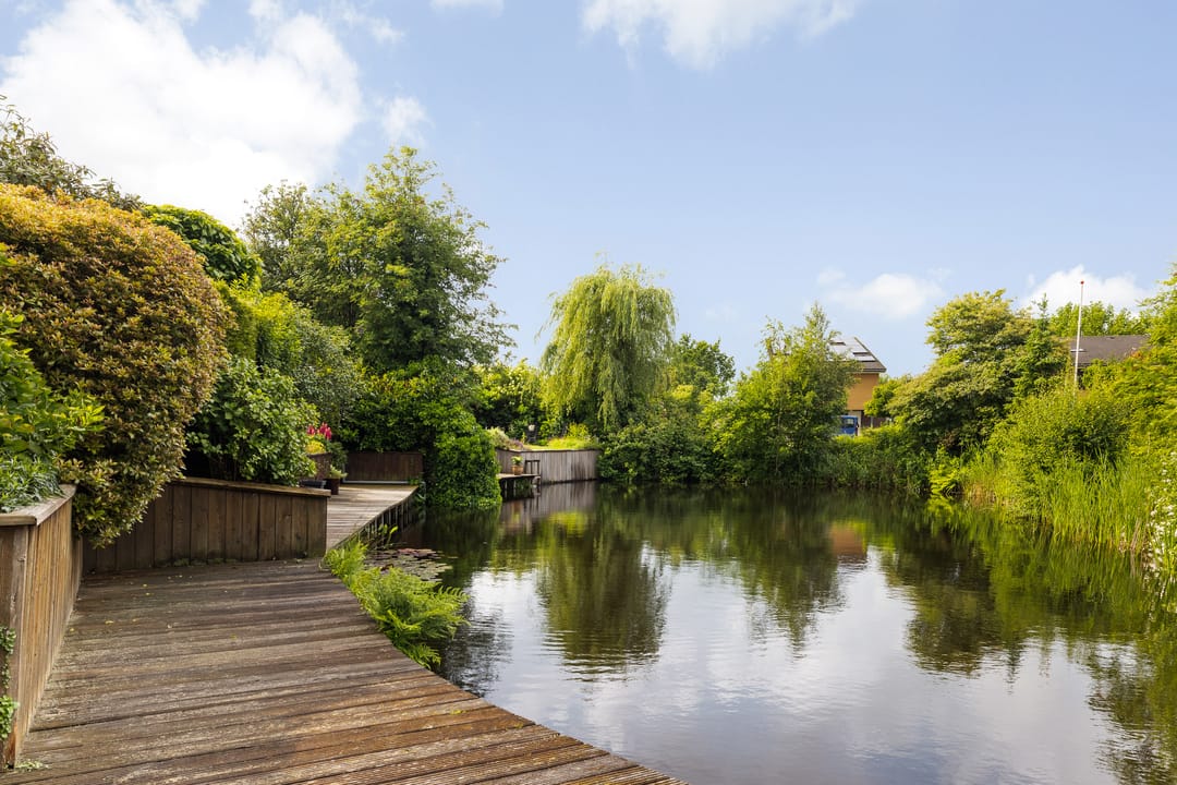 Foto 8 van Fonteinkruid 6