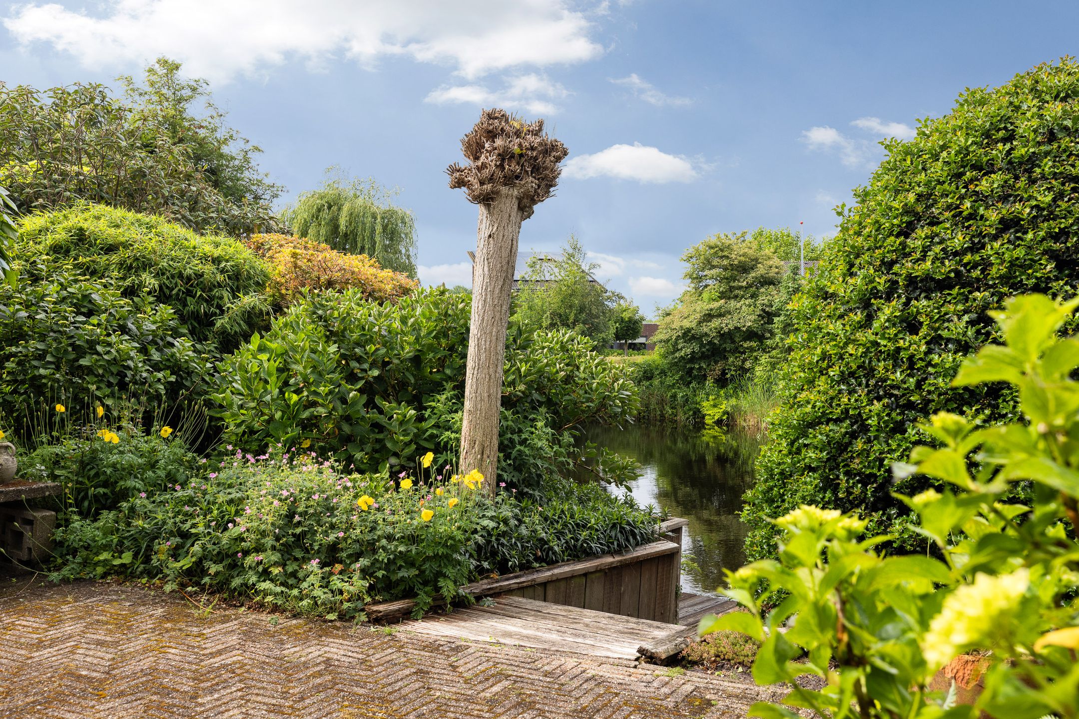 Foto 9 van Fonteinkruid 6