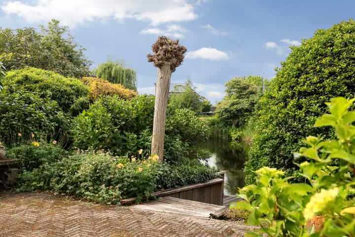 Photo 9 of Fonteinkruid 6