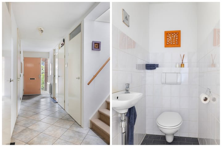 Photo 12 of Fonteinkruid 6