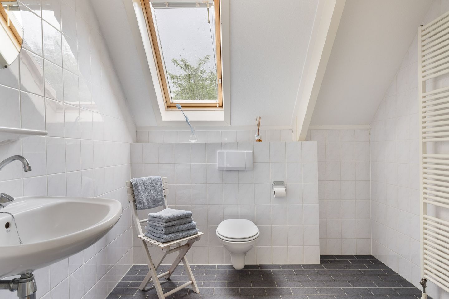 Foto 40 van Fonteinkruid 6