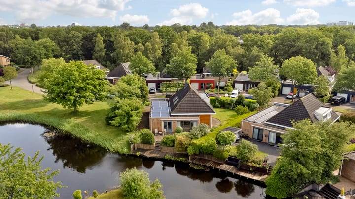 Photo 42 of Fonteinkruid 6