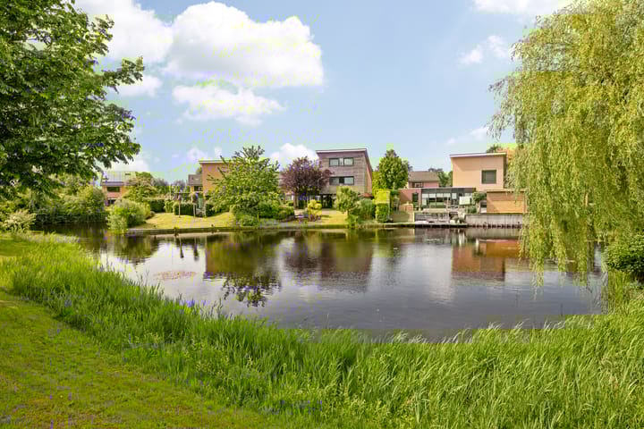 Photo 48 of Fonteinkruid 6