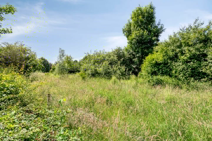 Foto 28 van Beukenlaan 103